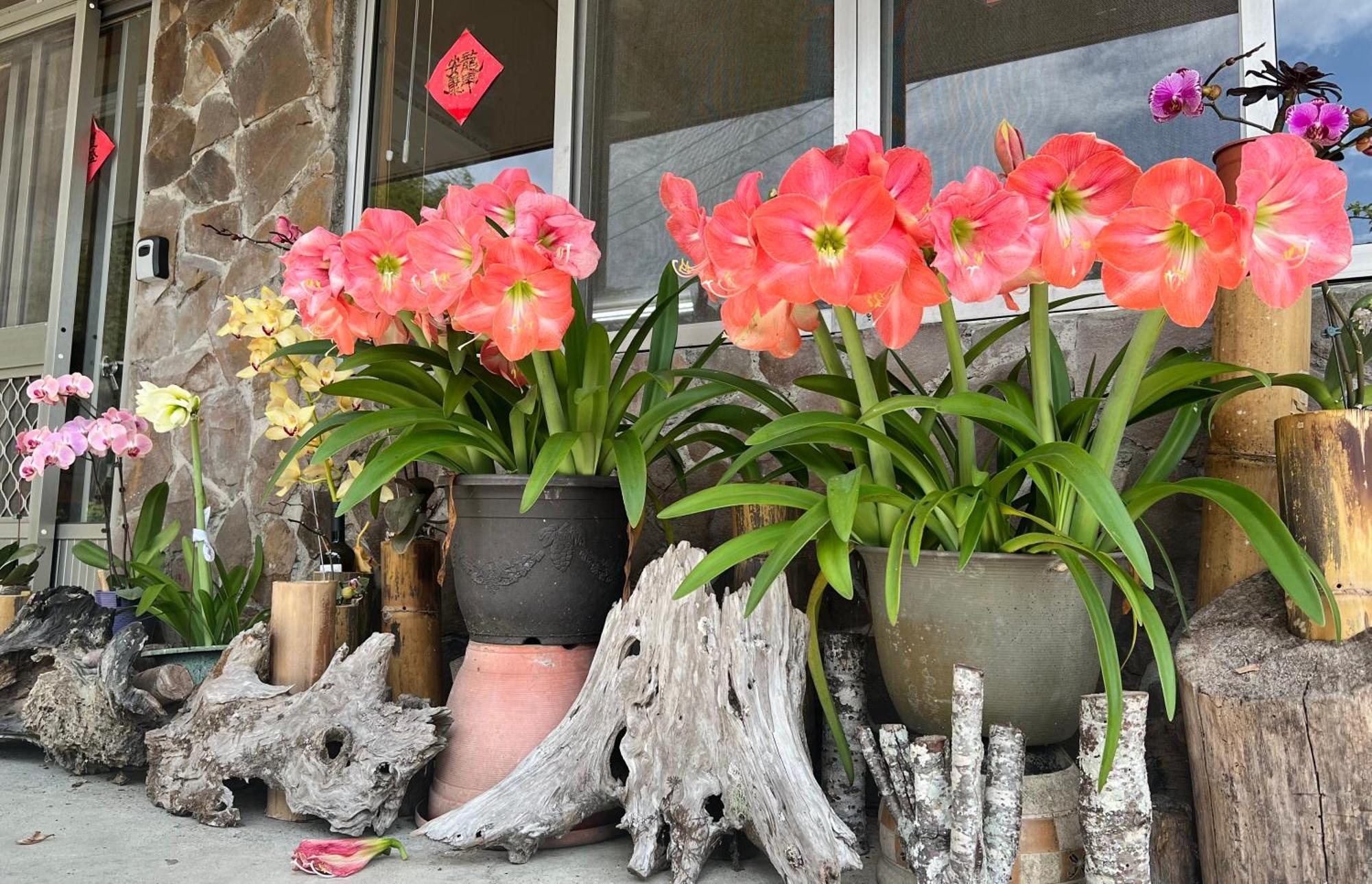 仲明居zhong Ming Ju Taoyi Fang Bed & Breakfast Fanlu ภายนอก รูปภาพ
